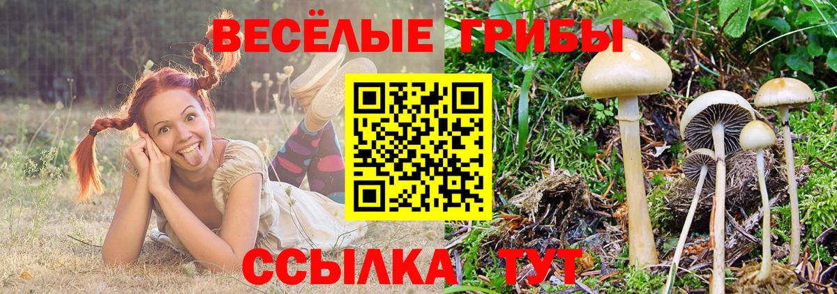 Рославль  Галлюциногенные грибы Cubensis  купить   Вход с VPN 