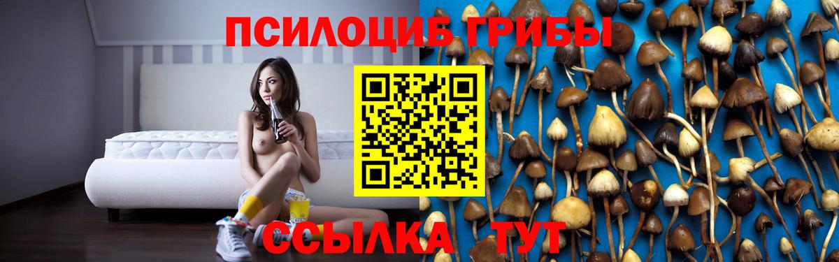 Псилоцибиновые грибы мухоморы Рославль